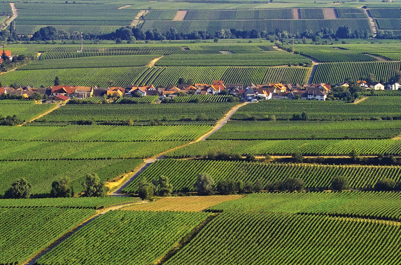 A Tale of Two Soil Cities